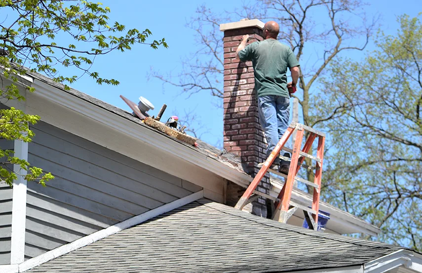Chimney & Fireplace Inspections Services in Eugene, OR